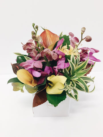 Tropical Box